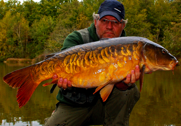 The-Carp-Specialist---Carp-Zwolle---KWO---Windmill-Lake-2.jpg