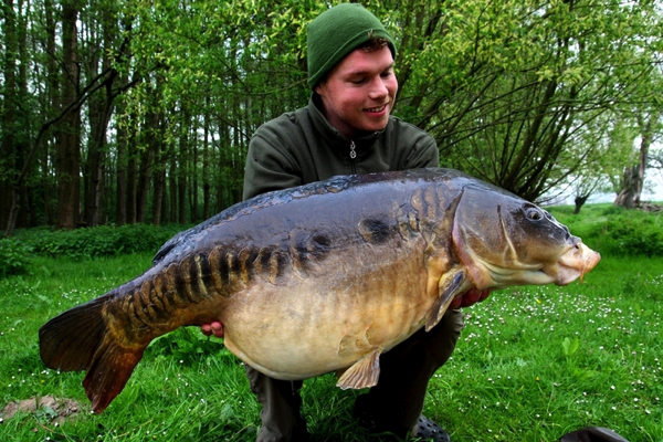Carpboard Jasper de man 2