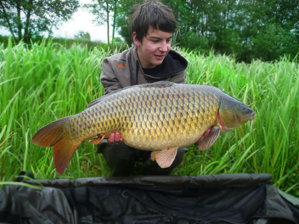 Carpboard Tom ter Weele