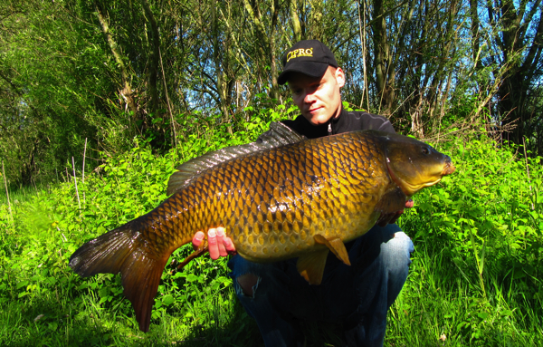 boul 31 Bas Corton preview2