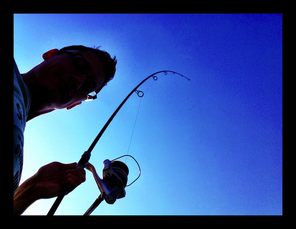 boul 31 michiel pilaar 3