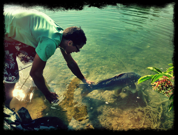 boul 31 michiel pilaar 5