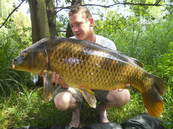 boul 31 vangsten niels coenders