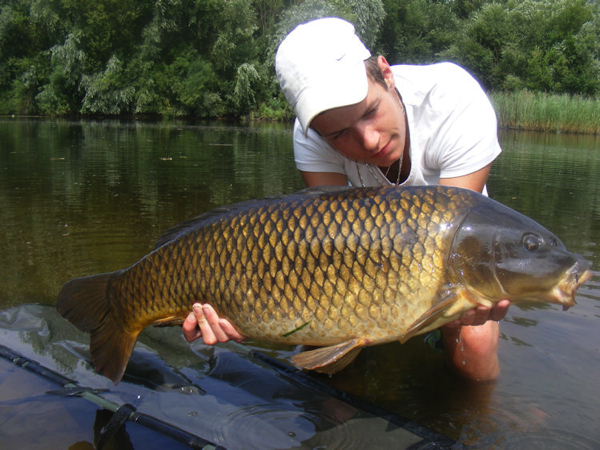 boul 31 weslingh lublink