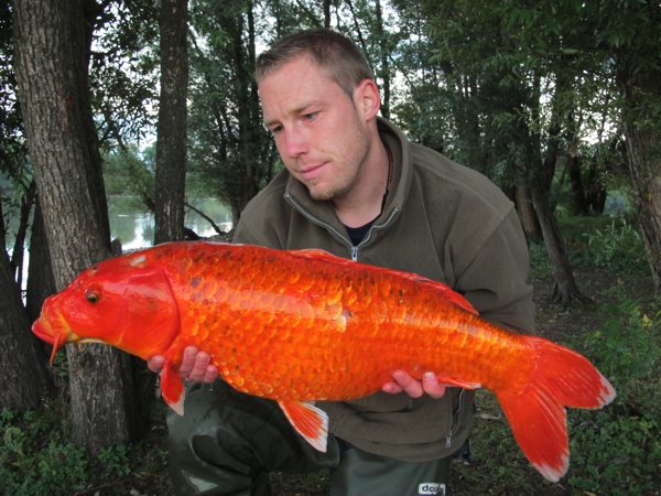 Mark Hoedemakers sept 3