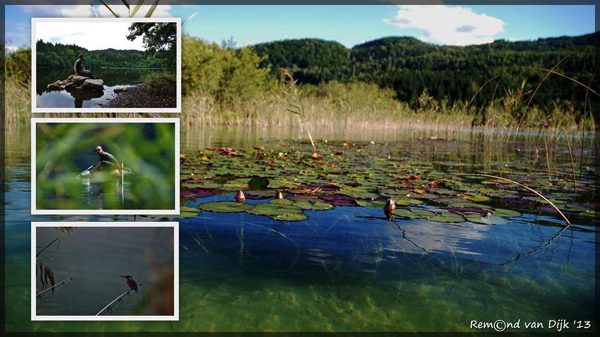 boul 40 remond rinze