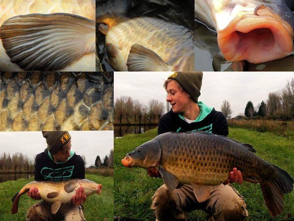 Boul-49-Jelle-Kassies