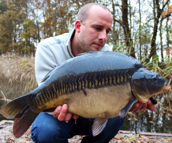 Carplantis-Facebook-rijen