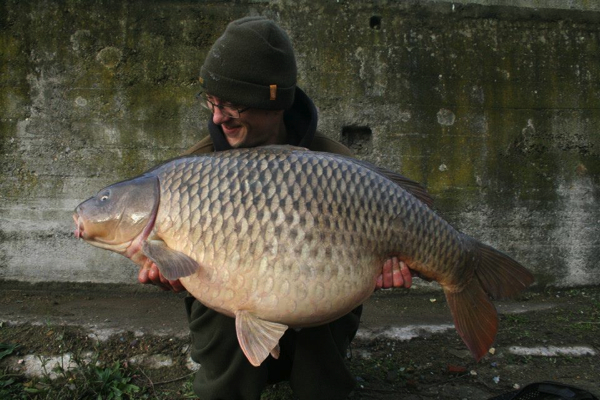 Frans-van-Maanen-teaser