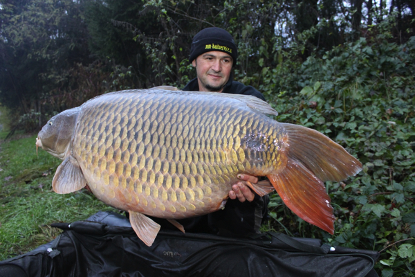 Record karper oostenrijk 2