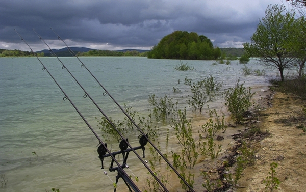 Karper-82-Sebastiaan-Stevens-Brandende-passie 600