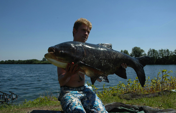 Proline-grootkopkarper