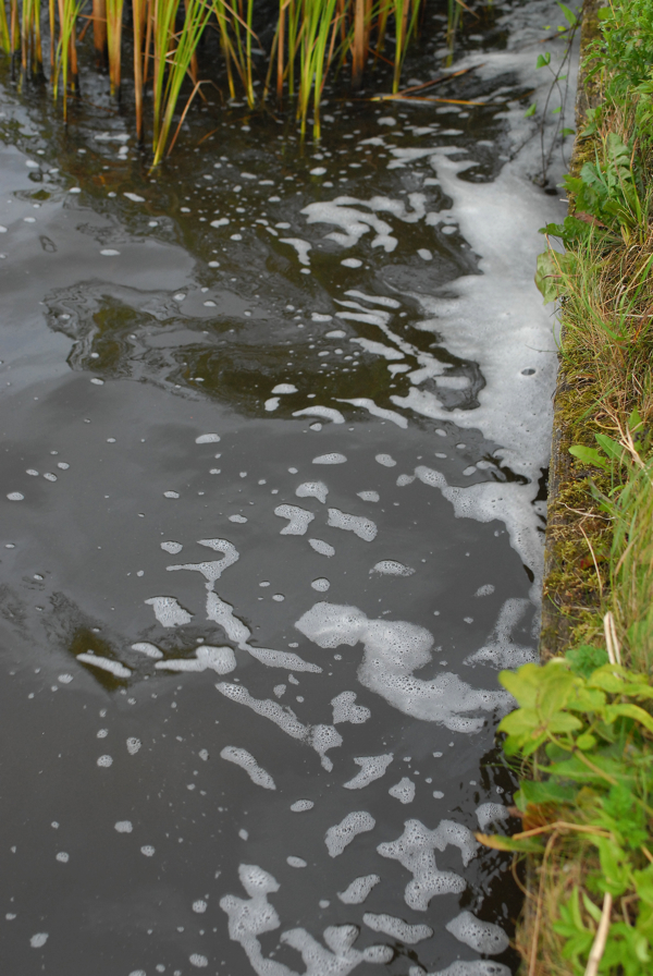 Willem-Barnas-Het-schuim-staat-op-haar-bek