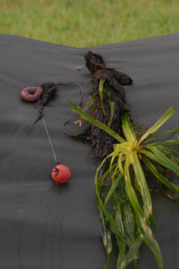 Willem-Barnas-Pieperdepiep-hoera