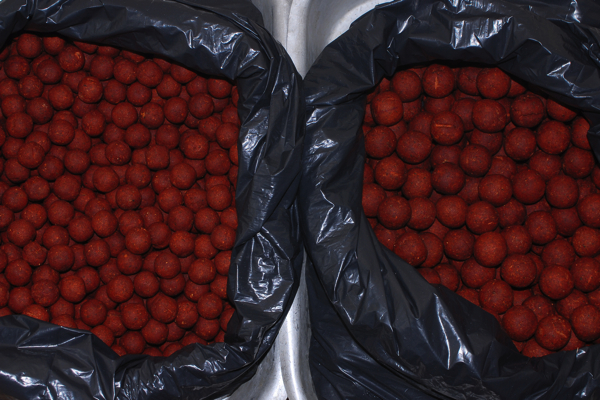 Willem-Barnas-The-Tough-Ones