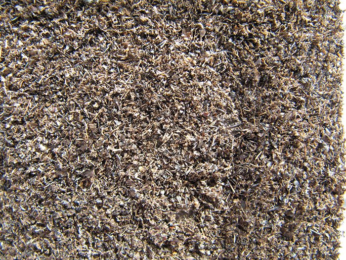 Gemalen vliegen en maden meel als vismeelvervanger. The sky is the limit.