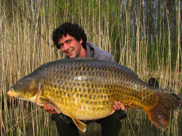 Korda-Pieter-bosseloo