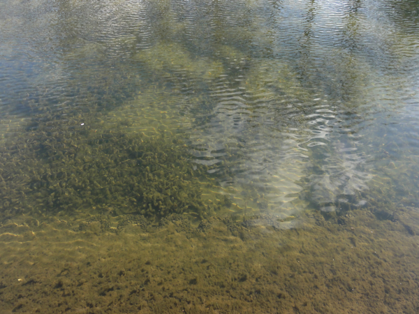 Mario-kanaal-helder1