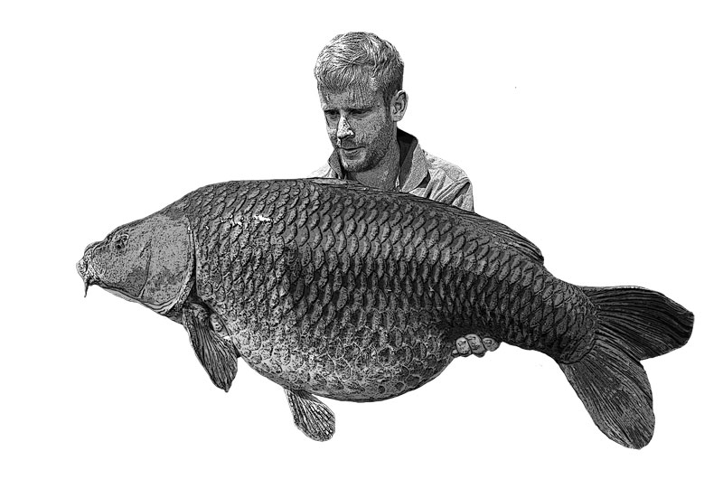 Visfoto-voorbeeld-karperwereld