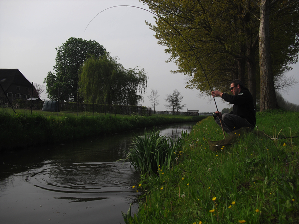 Saron-Debets-penvissen