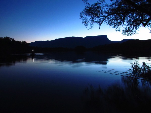 Alpen-karpervissen-nacht