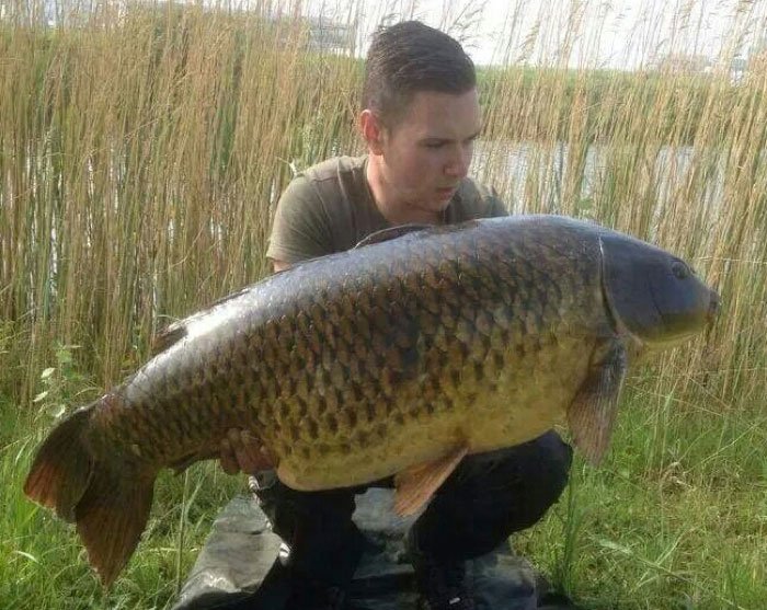 BAM! In de pocket: een prachtige Nederlandse veertiger!