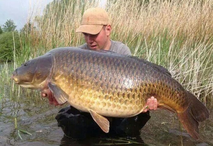 Eén van de mooiste schubs van het land!