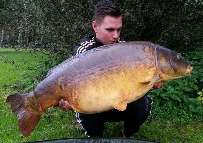 Ook deze Nederlandse parel mag er zijn!