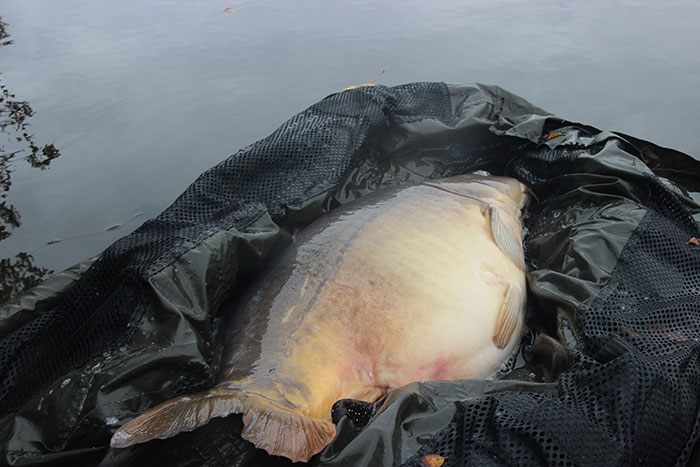 Korte weekenden met maximaal resultaat!