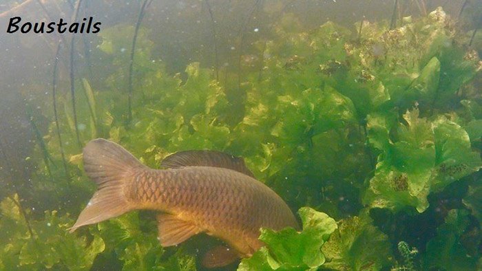 Credits voor de fotos aan Boudewijn Margadant!