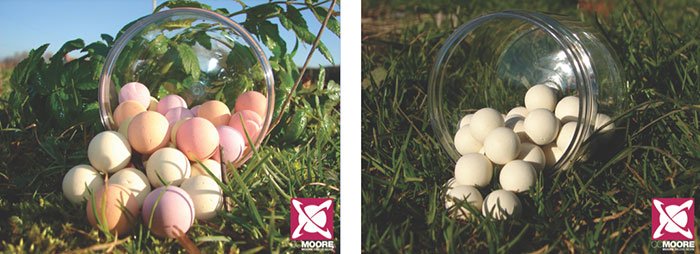 CC-Moore-Carp-Zwolle-popups