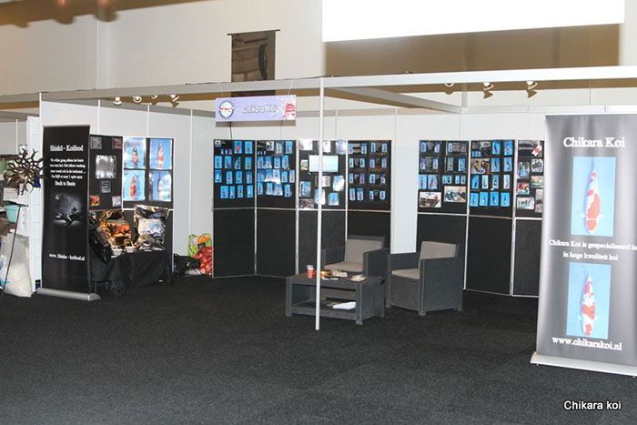 Chikara-Koi-stand