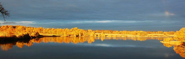 In een omgeving als deze kom je als karpervisser tot rust.