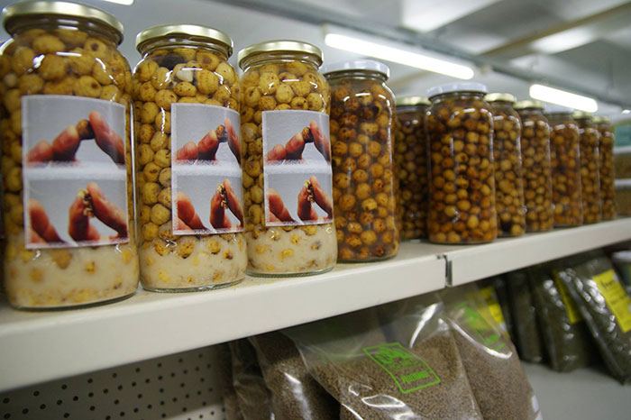 Mega-Fish-Merksem-tijgernoten