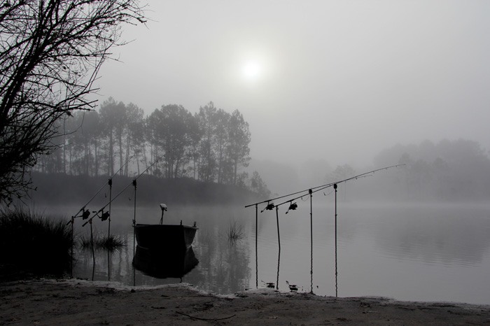 Lekker wakker worden zo!