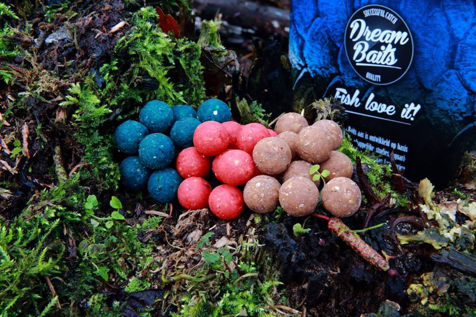 10479740_1035005573227263_76847753417814682_n