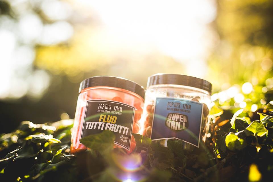 13178796_10154155208908894_5068531633383356899_n