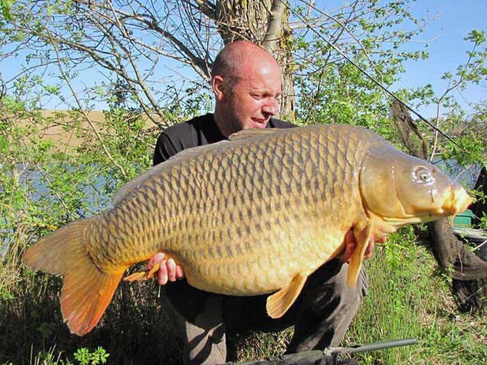 Grootwatervisser en Frans Rigsolutions Teammember Laurent Mathey zag zijn inspanningen beloond worden met een geweldige sessie die naast een aantal dikke vissen deze nóg grotere 31 kg opleverde.