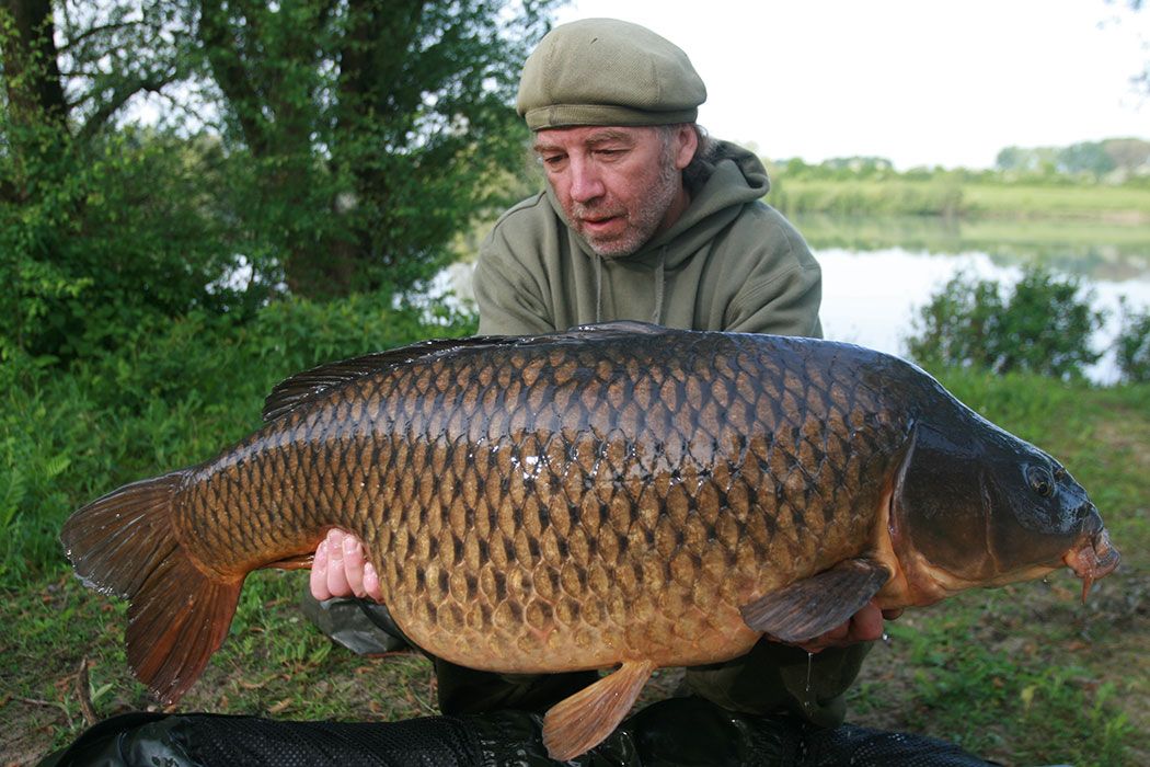 Alijn-Danau-header-juni