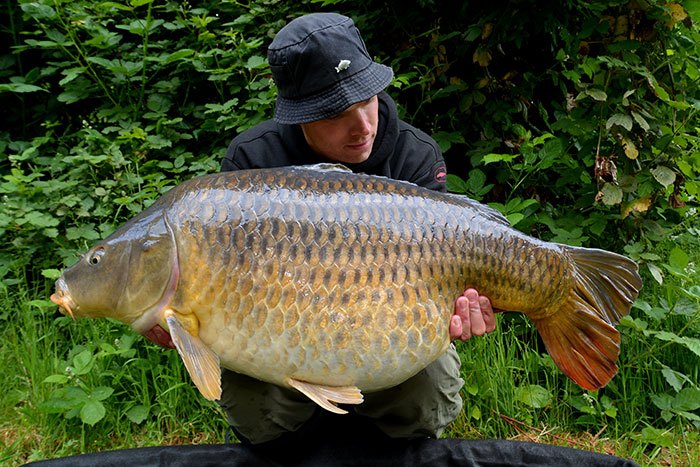 Yes, target in de pocket!