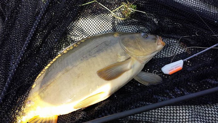 Buitgemaakt mede dankzij de controller!