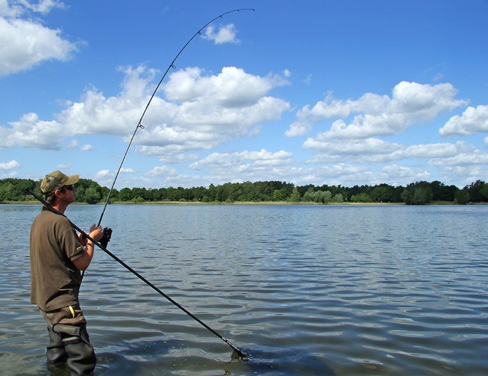 Martijn-van-Ommen-karper-1