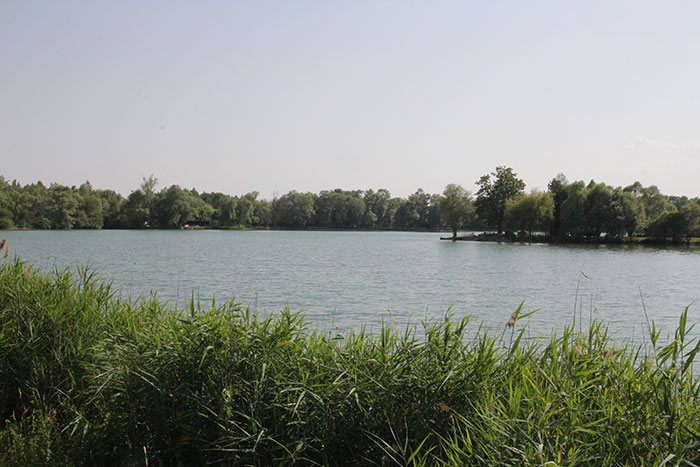 Het domein van Scar, de onbetwiste topvis van Graviers.