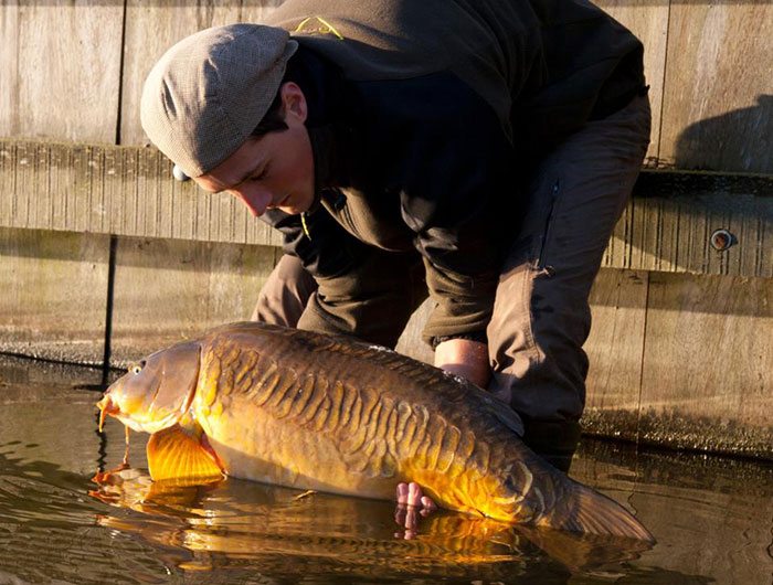 Een karper uit het verleden. Eentje met eeuwigheidswaarde.