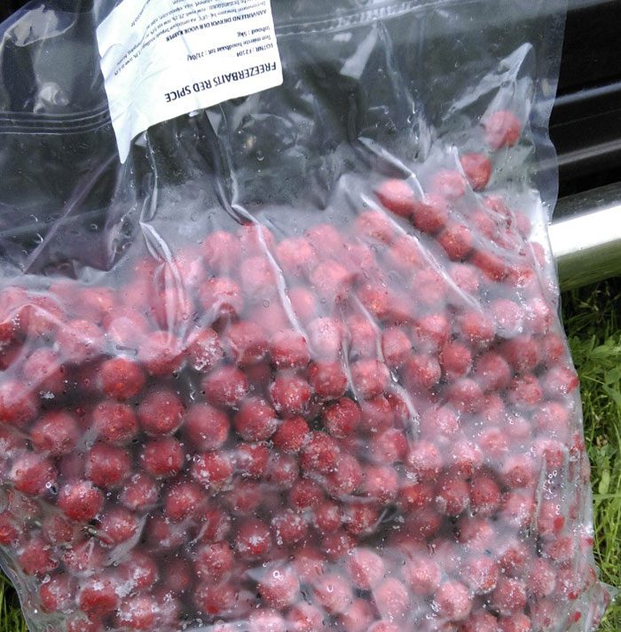 Cris-Scheffer-kanaalvissen-karper-A4