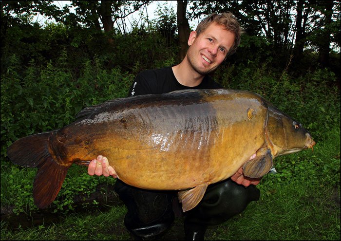 Klaus-wegmann-kwo-2