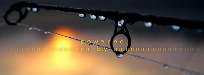 Tacklebox-banner-hengel