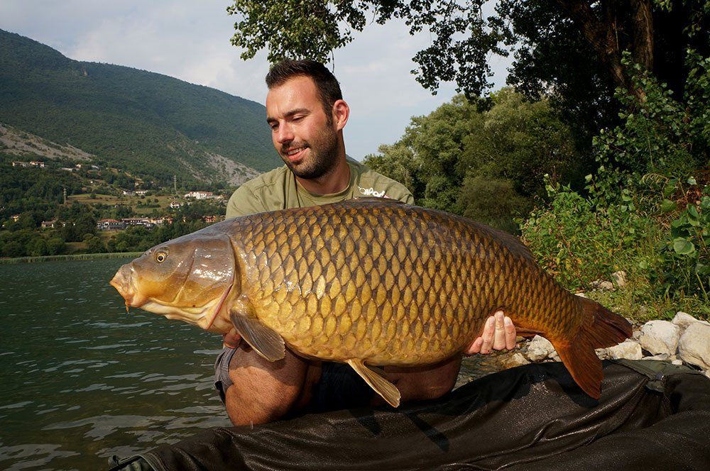 CC-Moore-september-update-header-italy