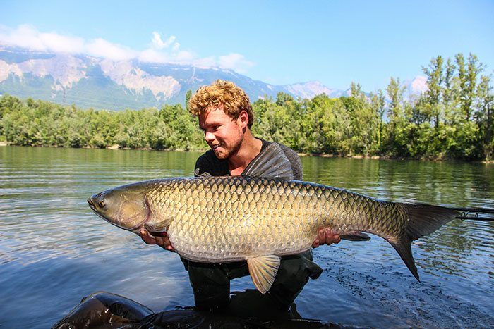 KWO-Shimano-Tribal-Velocity-8