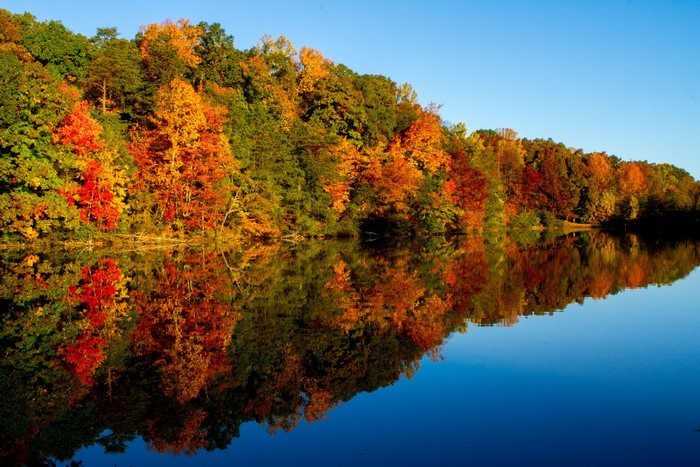Stiekem toch wel de mooiste tijd van het (vis) seizoen